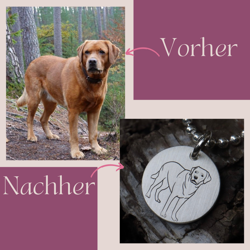Personalisierte Haustier Halskette für Hund & Katze *Labrador*