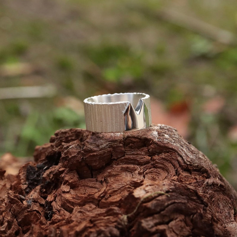 Kölner-Deluxe Ring aus Silber mit Alpen Oberfläche