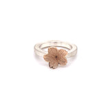 Bonner Kirschblüten Ring 🌸