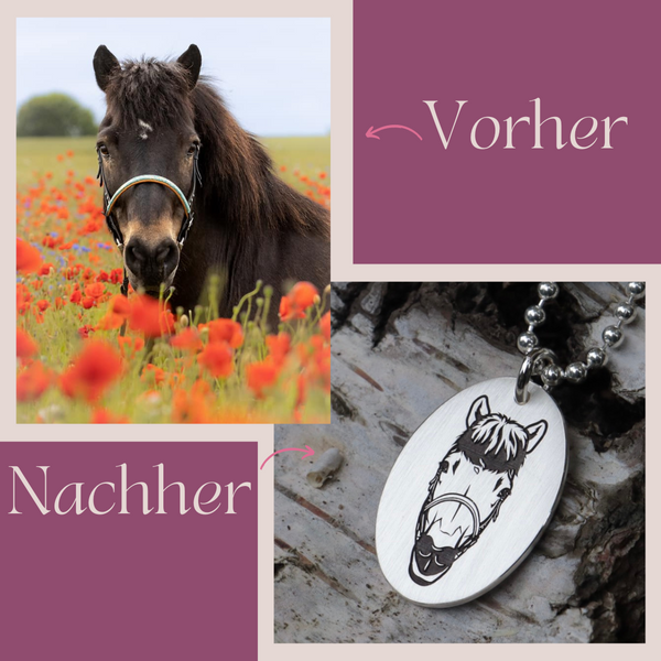 Personalisierte Haustier Halskette für Hund & Katze oder Pferd