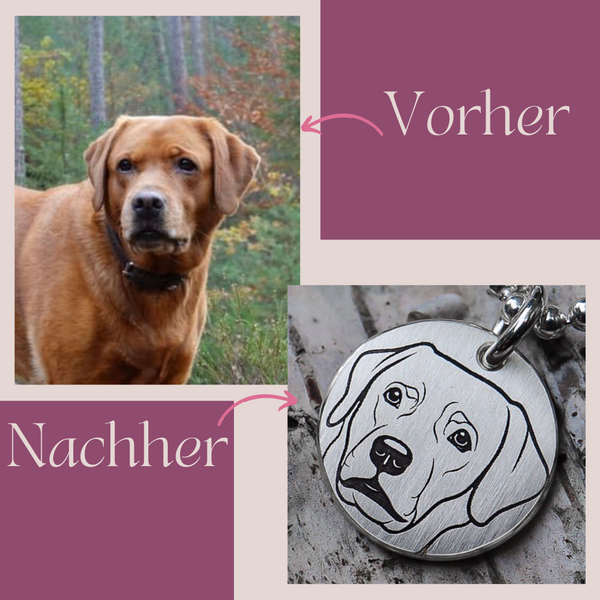 Personalisierte Haustier Halskette für Hund & Katze *Labrador*
