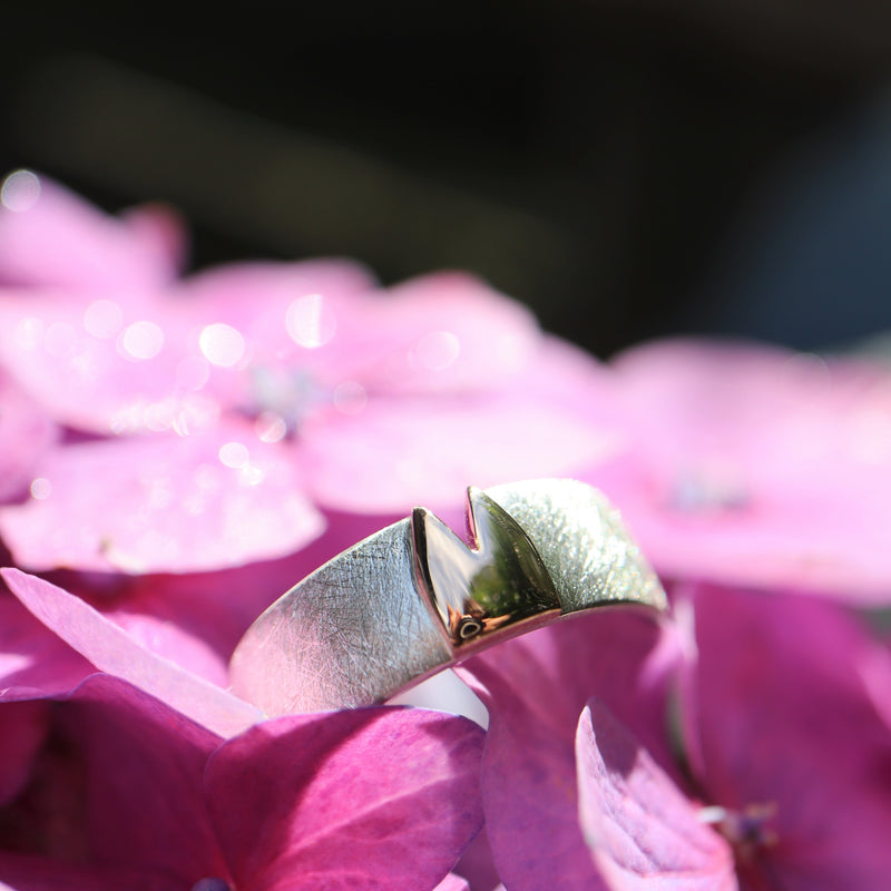 Klüngel- Ring mit Rotgold 8 mm breit