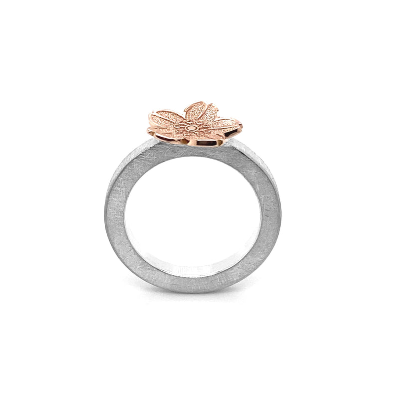 Bonner Kirschblüten Ring 🌸